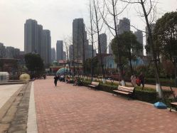 -海宁大脚板乐园