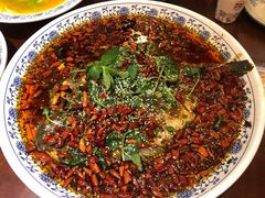 杨记招牌鱼-杨记隆府(时代天街店)