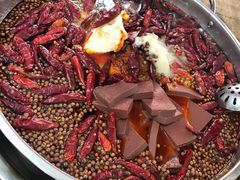 -鸿林老火锅(沙杨路店)