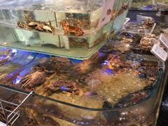 -盒马鲜生(悠方店)
