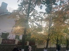-八大关景区