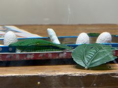 -上海新锦江大酒店