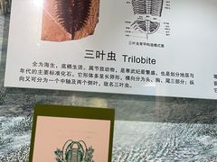 -辽宁古生物博物馆