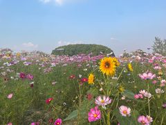 -嘉北郊野公园