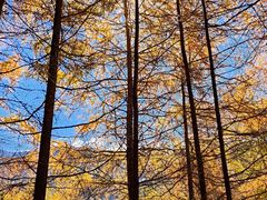 -阿坝州汶川特别旅游区