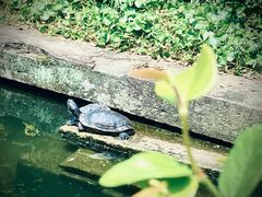 -宁波市保国寺古建筑博物馆