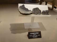 -河姆渡遗址博物馆