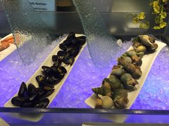 绿洲西餐厅-阳光壹佰美爵酒店-绿洲西餐厅