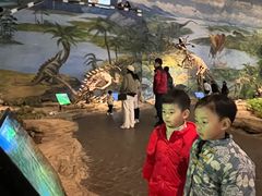 -自贡恐龙博物馆