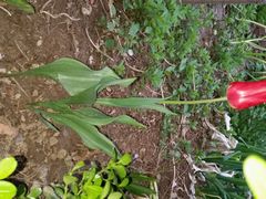 -晋善晋美(滕州市鲁南美食城店)