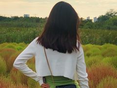 -映月湖中央公园