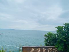 -杨梅坑