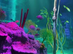 -沈阳海洋探索中心