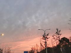 -上海滨江森林公园