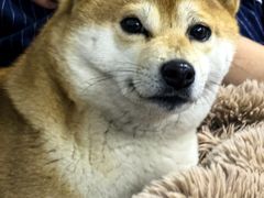 -地锅居(翰林邻里中心店)