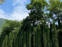 -四川汶川特大地震漩口中学遗址