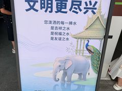 -西双版纳傣族园