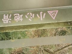 -千岛湖东南湖区