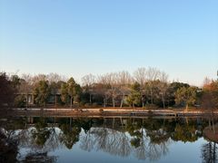 -上海海湾国家森林公园