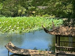 -兰亭风景区