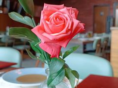 -OGGI TRATTORIA PIZZERIA(深业上城店)