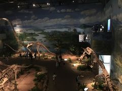 -自贡恐龙博物馆