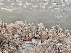 -紫金山山顶公园