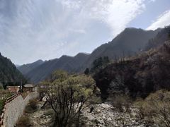 -黑河国家森林公园