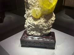 -湖南省地质博物馆