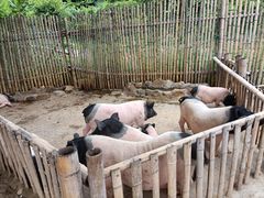 -泉州海丝野生动物世界