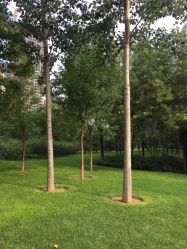 -大望京儿童游乐场