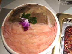 -雾都渣渣火锅(南城智汇城店)
