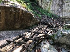 -终南山国家森林公园