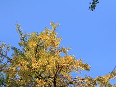 -两江幸福广场