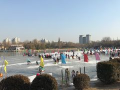 -紫竹院公园冰场
