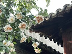 -何园