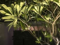 -明谷行馆·温泉