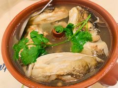 汽锅鱼头-沙龙酒家