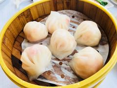 -深圳富苑皇冠假日套房酒店