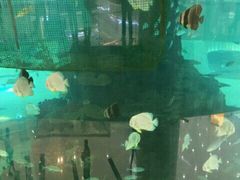 -鸿通城购物中心