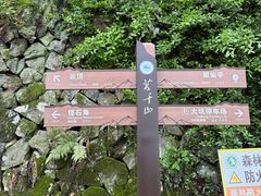 -莫干山风景区