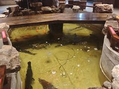 -好灶头妈妈菜·柴火灶台鱼·千岛湖土菜地标美食