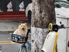 -隆都四季香饭店(碧海路店)