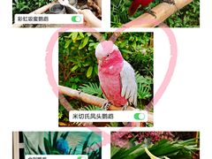 -南宫五洲植物乐园
