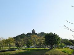 -王借岗森林公园