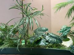 -奈雪的茶(广州万菱汇PRO店)