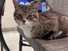 -中田健身工作室(嘉定江桥店)