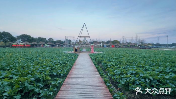 金稼园·金平湖农家菜图片