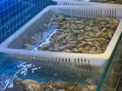 -罗马假日海鲜自助餐厅(星湖广场店)