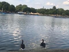 -海德公园